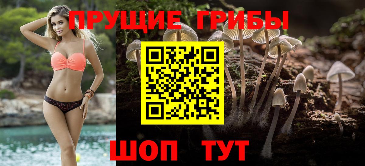 Меф МЯУ МЯУ  NBOMe  КОКАИН  Вход с VPN  Сегежа  Меф   Канабис  A PVP СК  