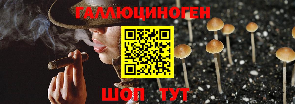 Псилоцибиновые грибы GOLDEN TEACHER  Вход с VPN  Галлюциногенные грибы Cubensis  Сегежа 